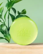 Dr Rashel Antiseptic Soap Lady